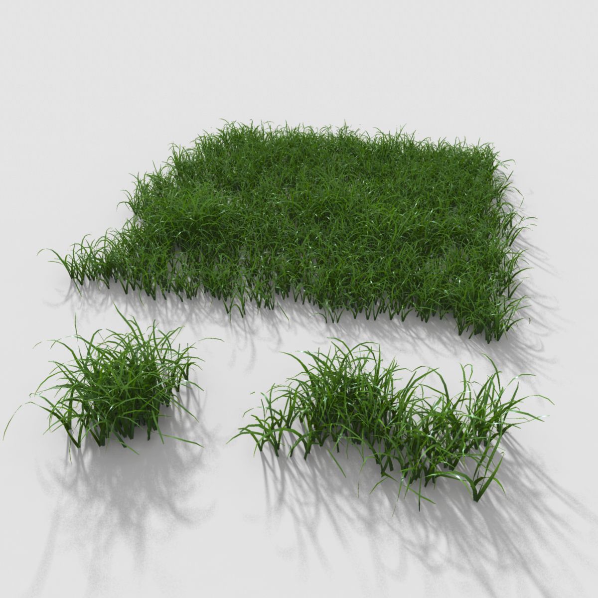 Plant Grass royalty-free 3d model - Preview no. 2