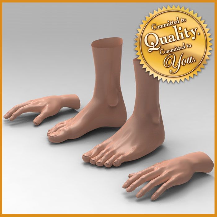 Mano femenina de pies femeninos [paquete combinado] modelo 3d