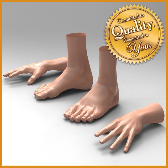 Mano de pies humanos masculinos [paquete combinado] modelo 3d