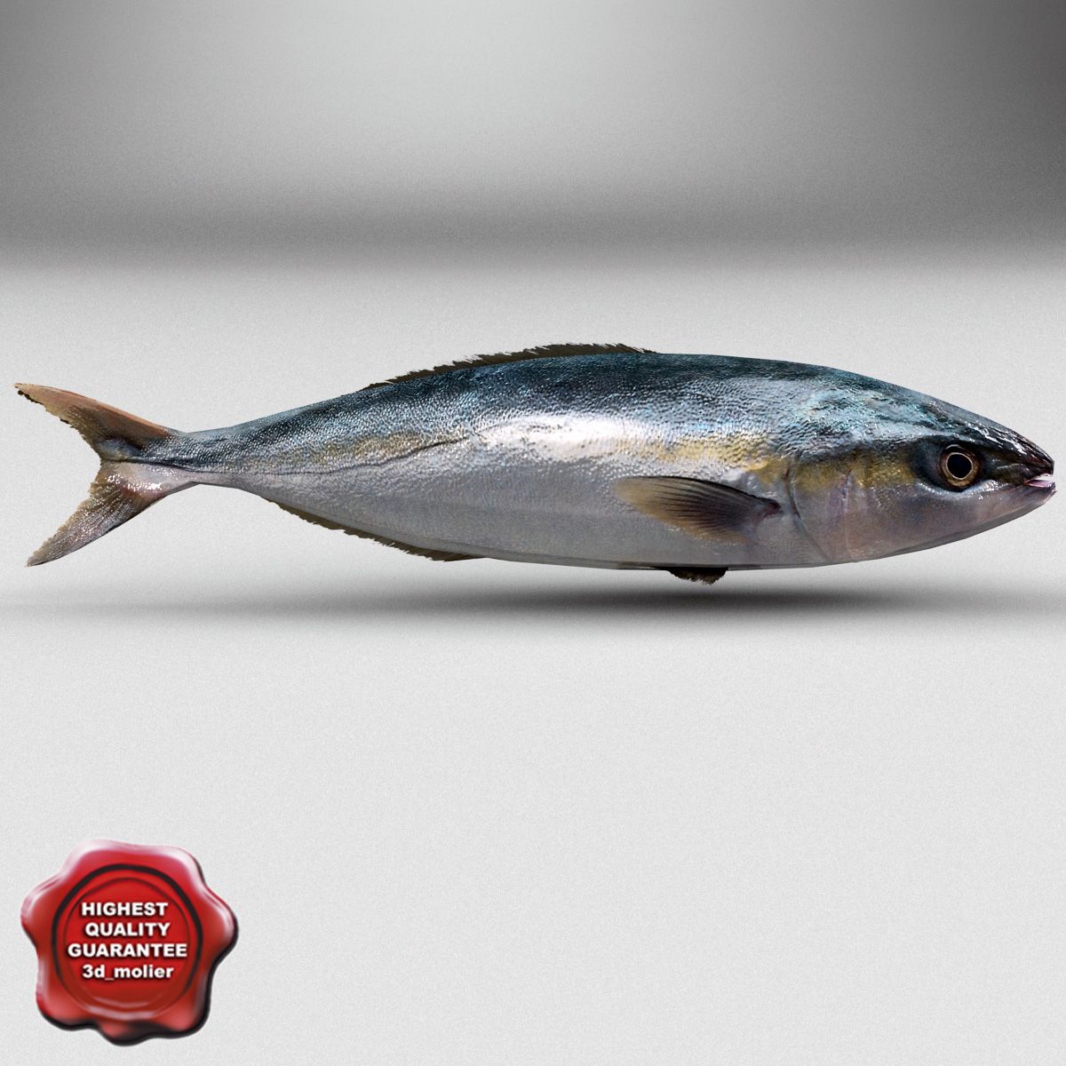 Poisson hareng 3d model