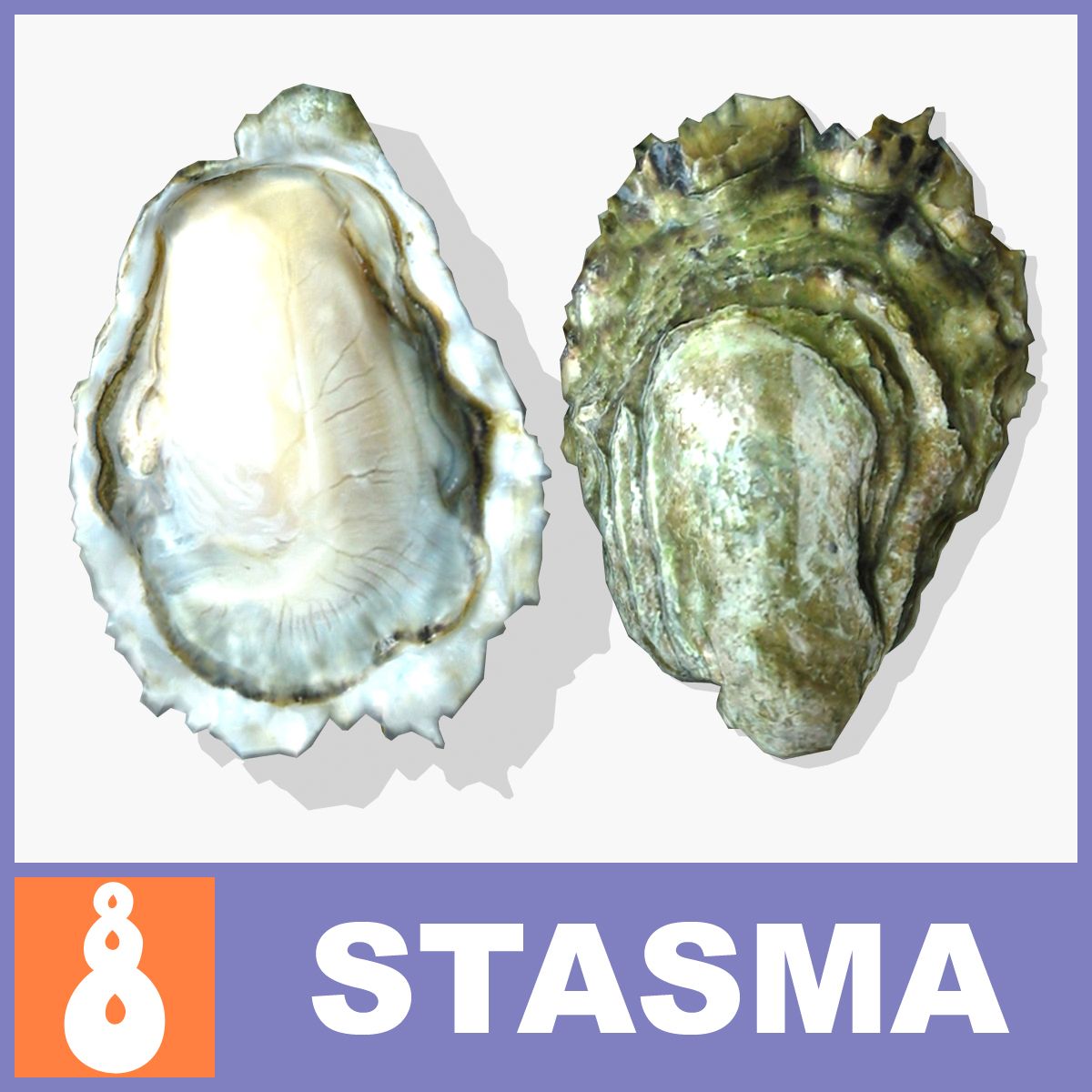 ostra 3d model