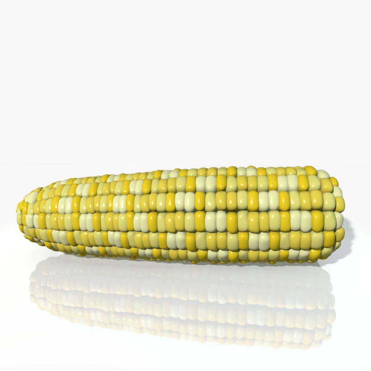 Corn 3d model