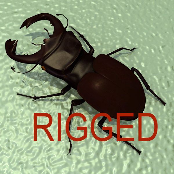 Stag-Beetle 3d model