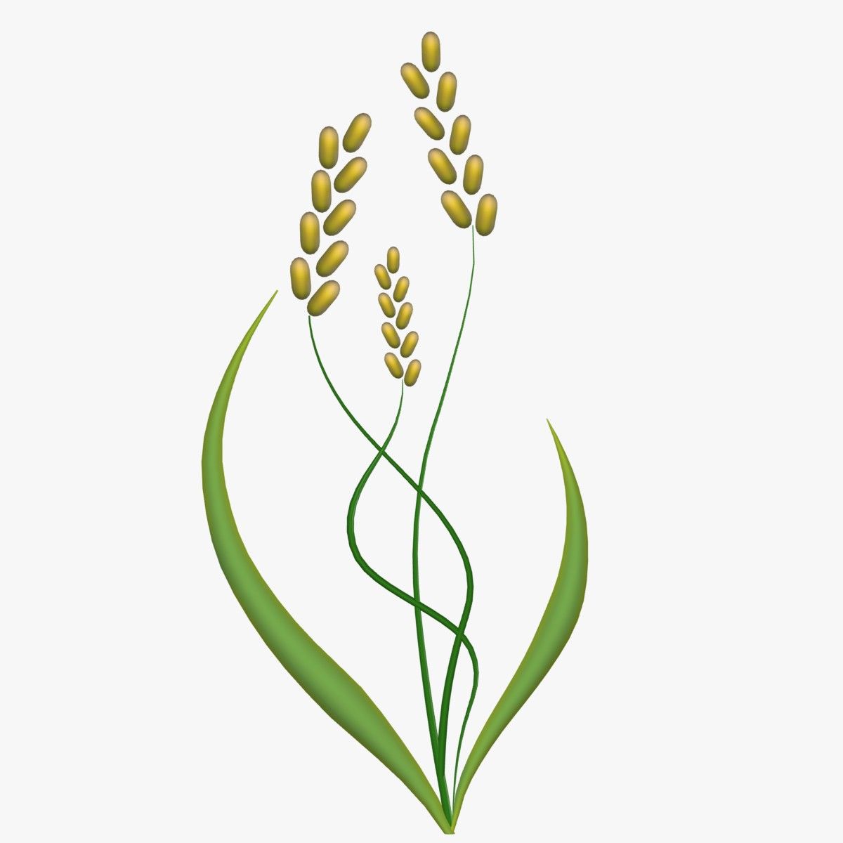 FG Barley 3d model