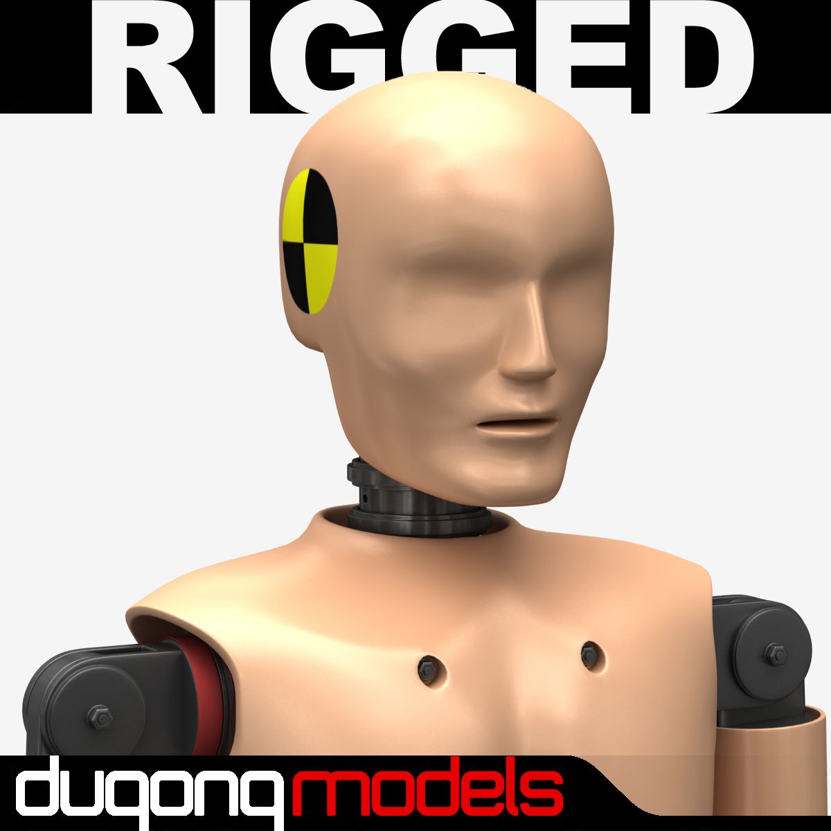 Crash Test Dummy - Rigged 3d model