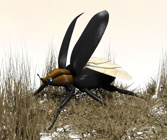 beetle 3d model