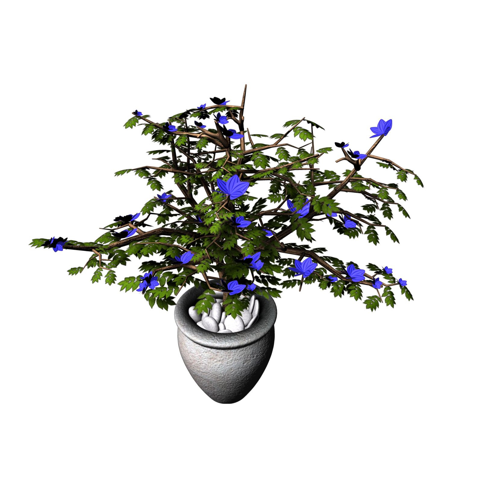 indoor plant 3d model