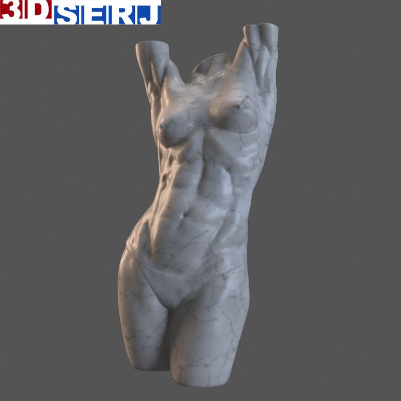 ciało kobiety 3d model