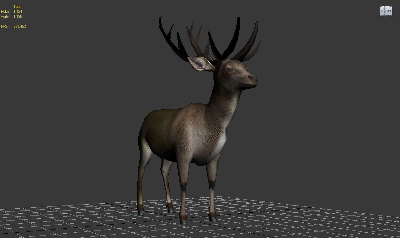 Deer 3d model