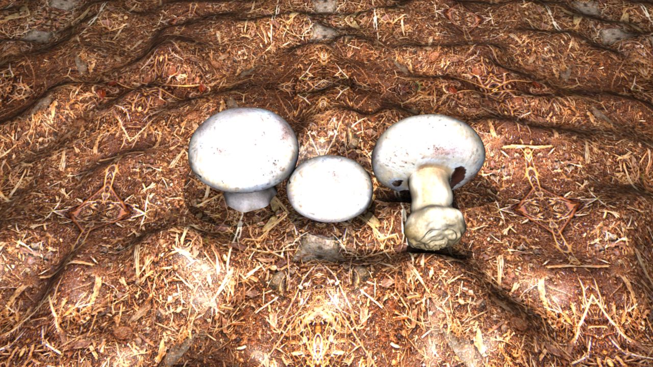 Agaricus_bisporus 3d model