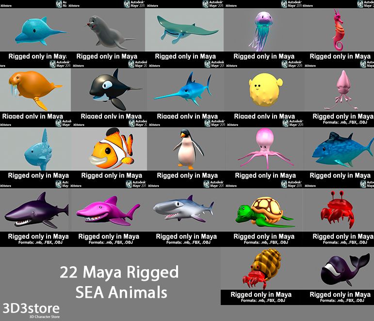 Animais marinhos 3d model