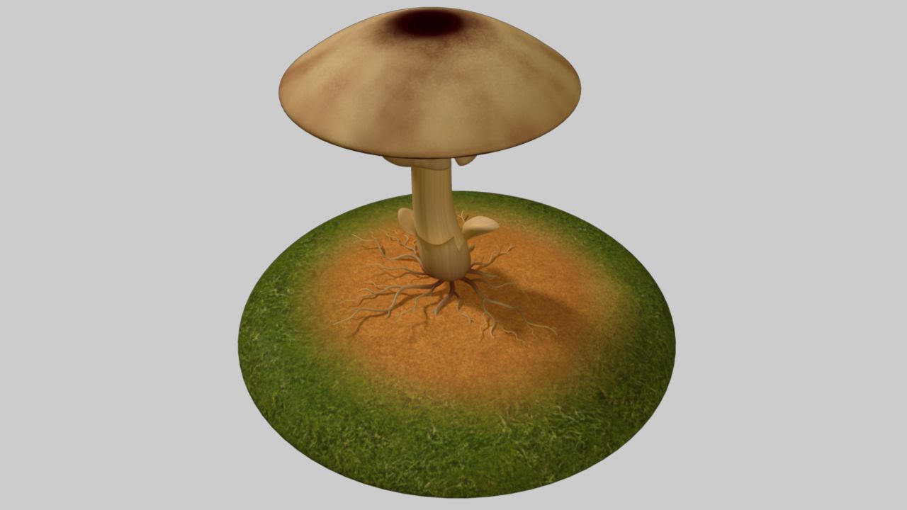 Mycélium 3d model