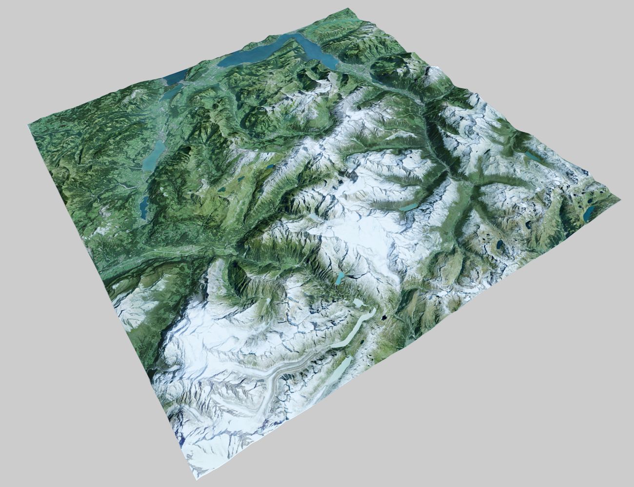 Alp Bölüm 3d model