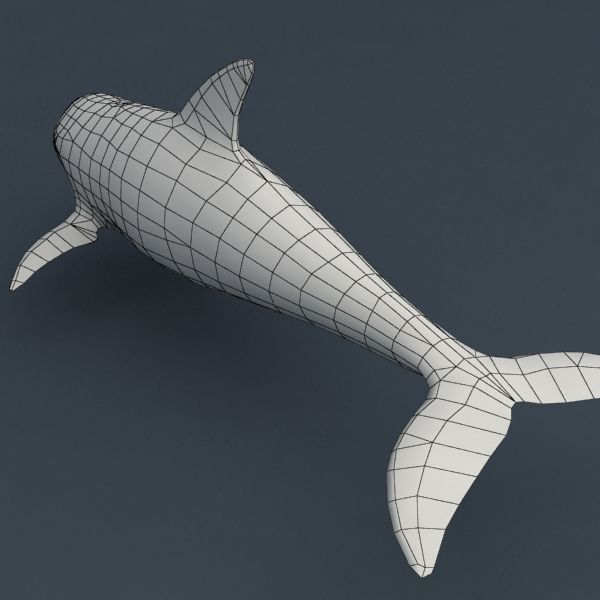 Orca manipulada royalty-free 3d model - Preview no. 11