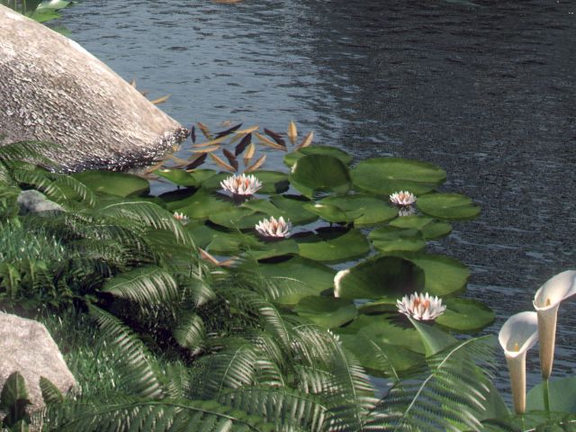 Water Lily 3d model