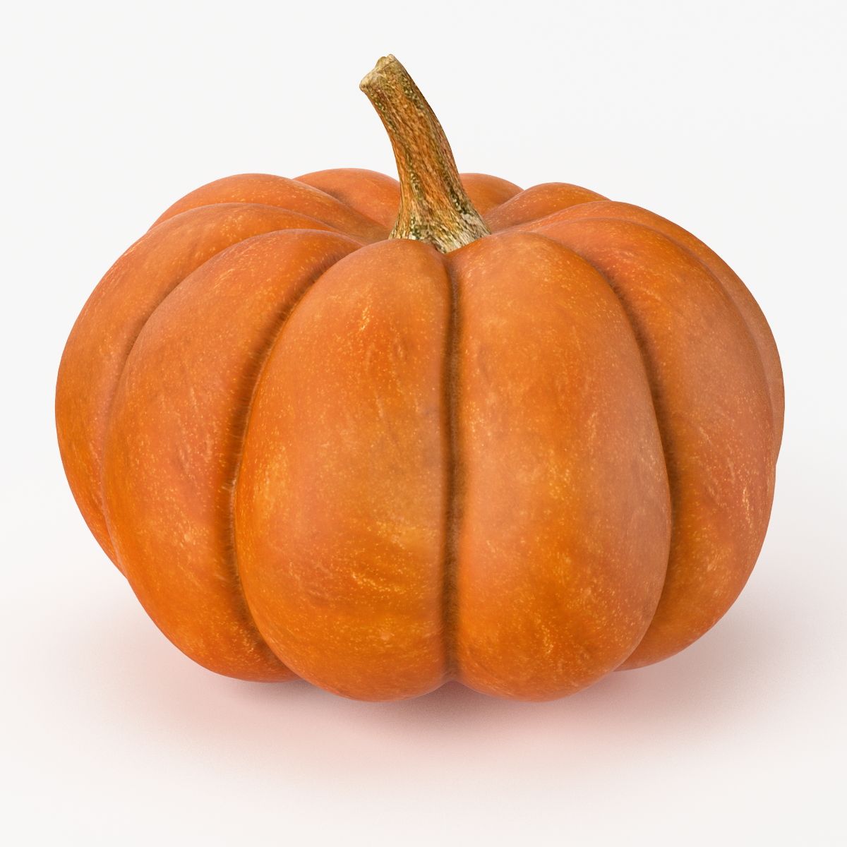 Calabaza realista modelo 3d