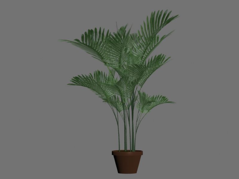 Pot with palm tree 3d model