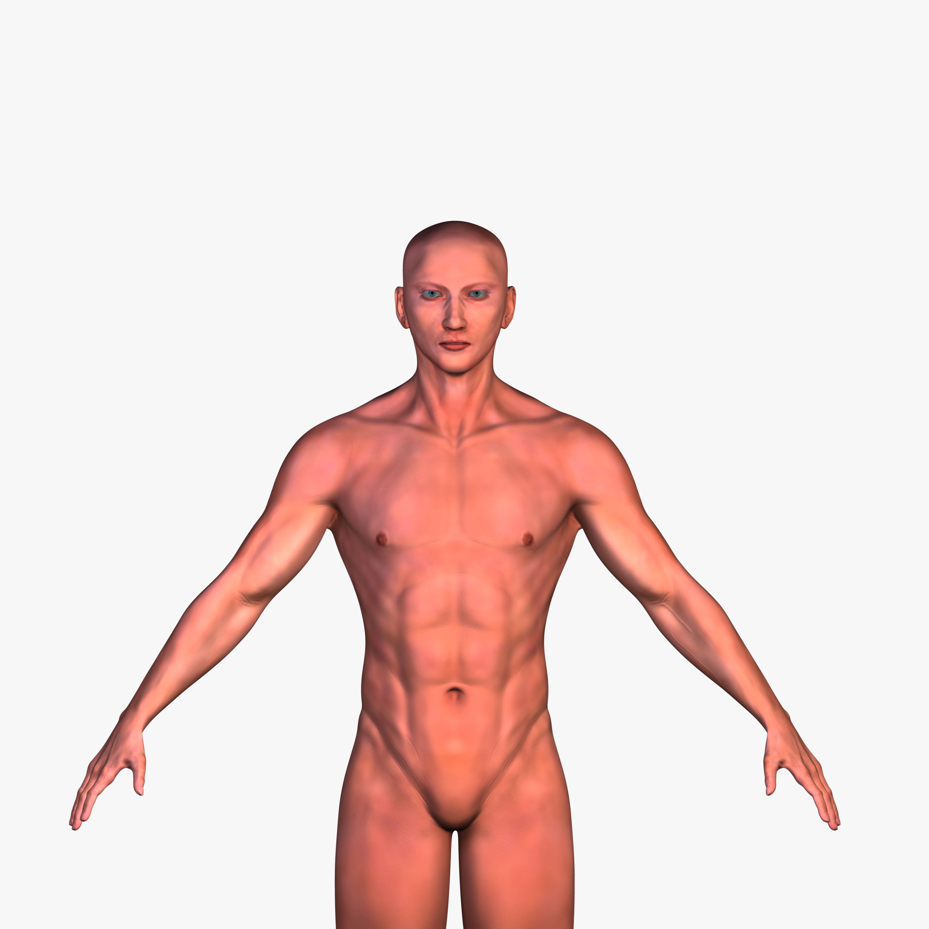 Malla de base masculina modelo 3d