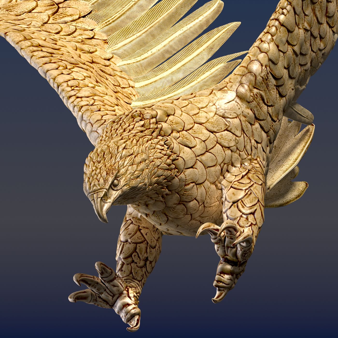 Adler Ornamental 3d model