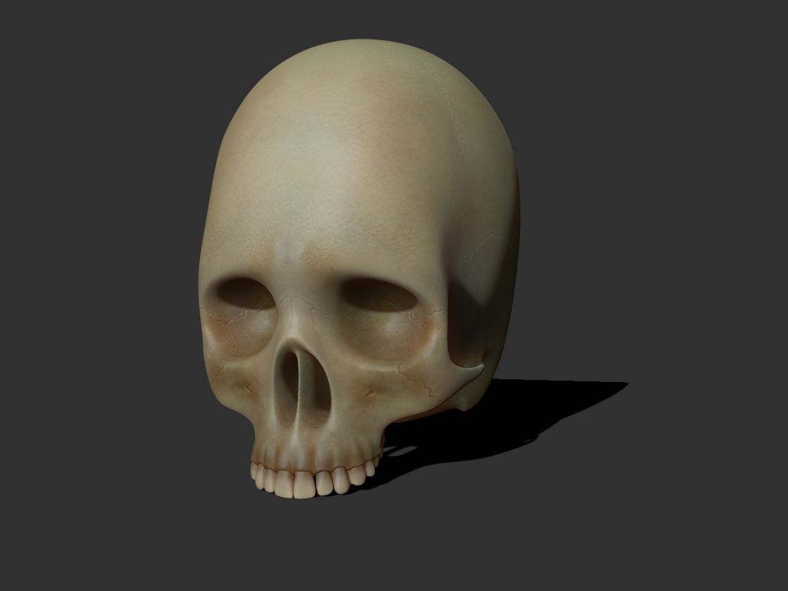 Kafatası 3d model