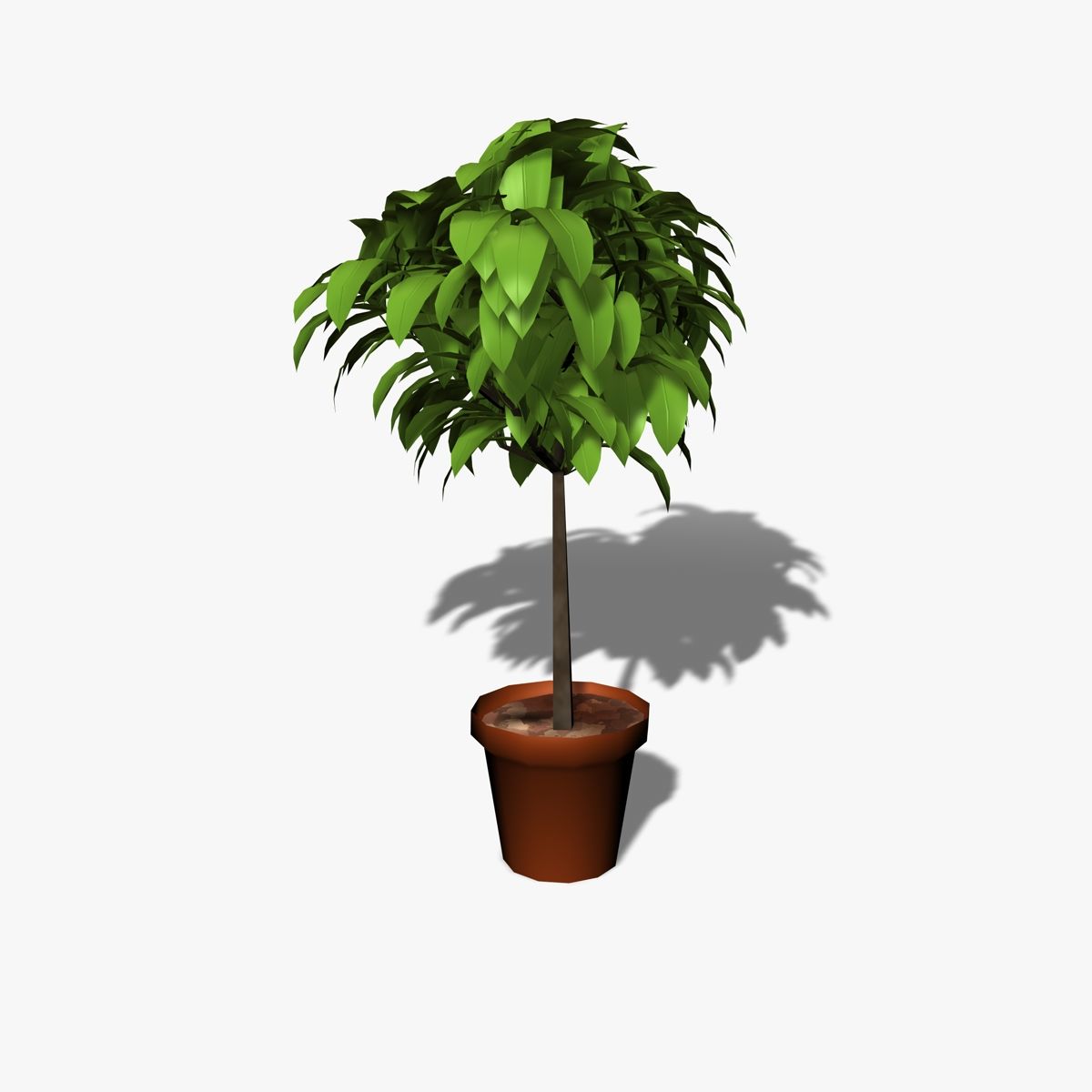 Indoor Plant 3d model