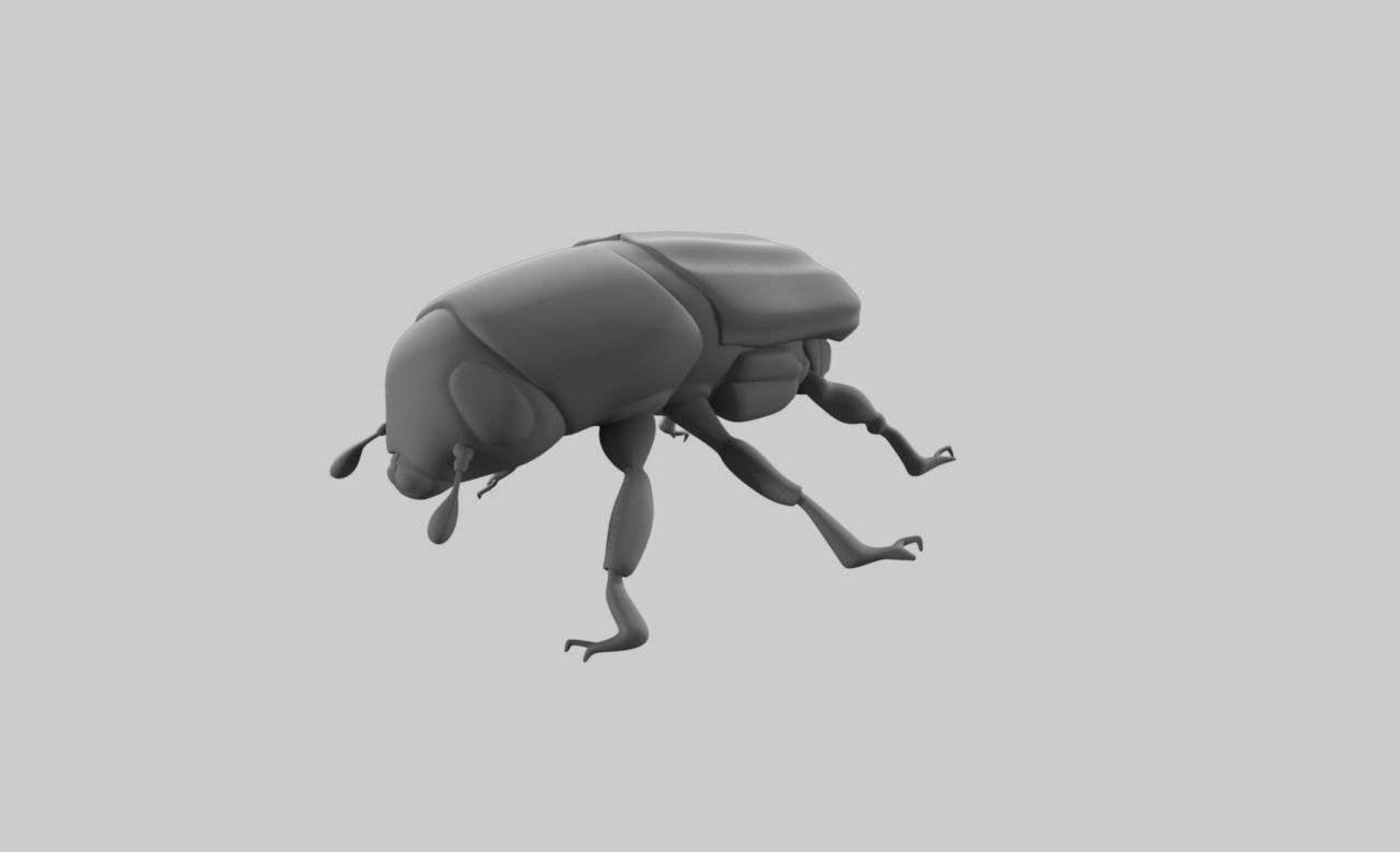 Realistic Beetle model 3d model