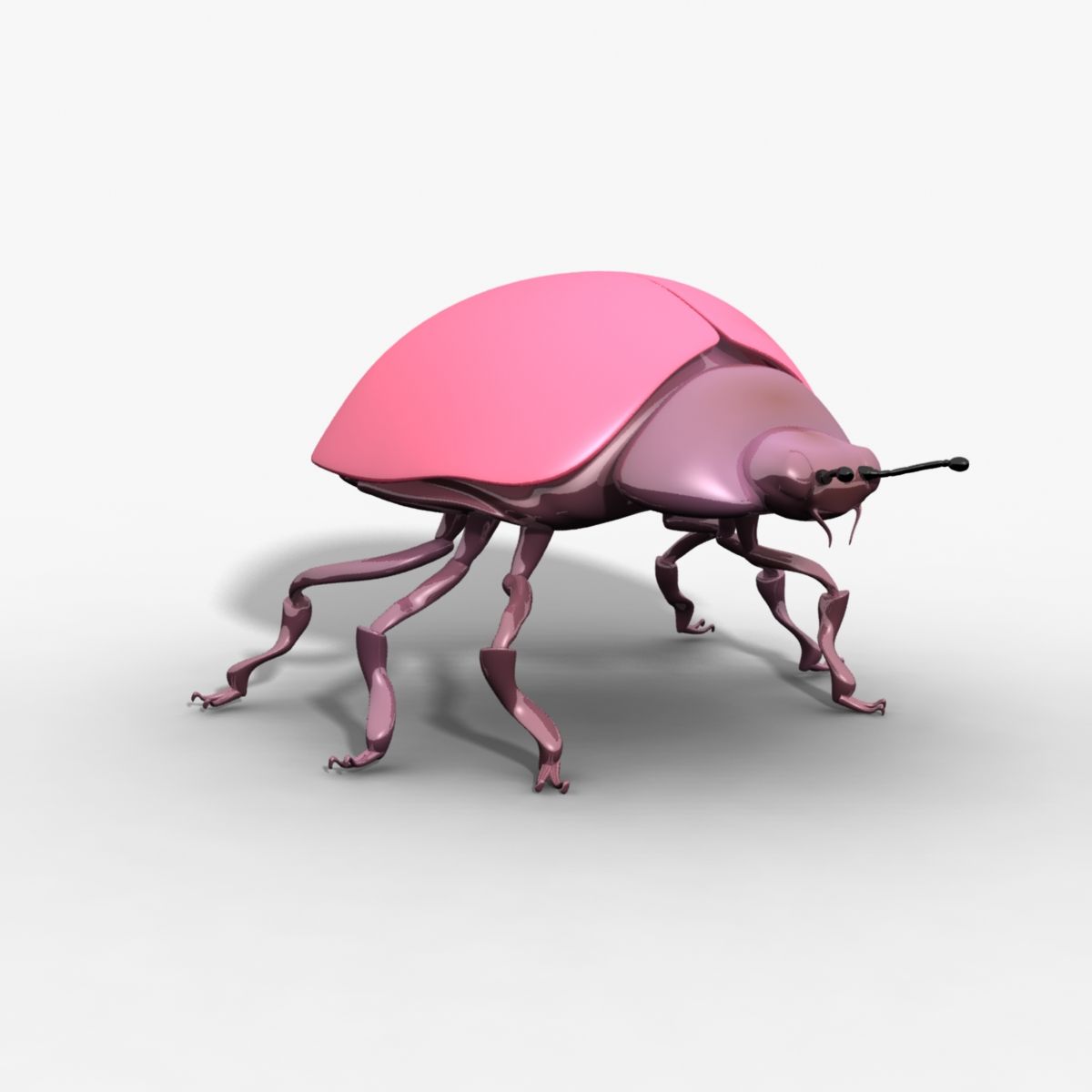 Rigged Beetle 3d model