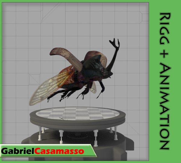 Rhinoceros Beetle 3d model