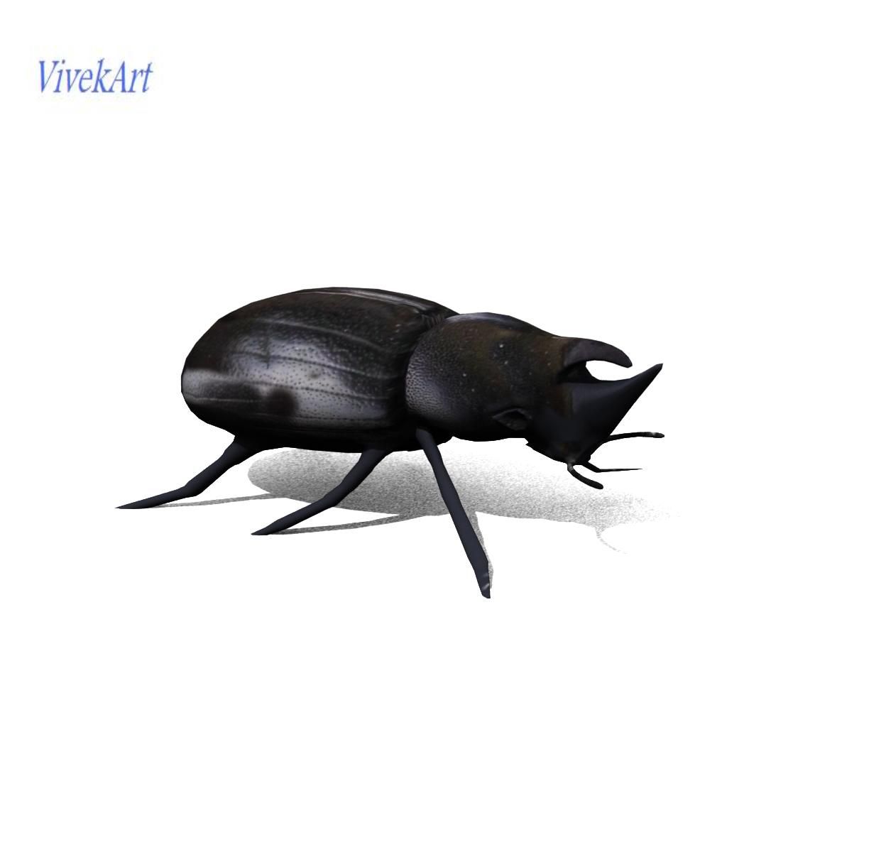 beetle 3d model