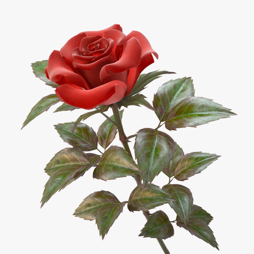 rose red 3d model