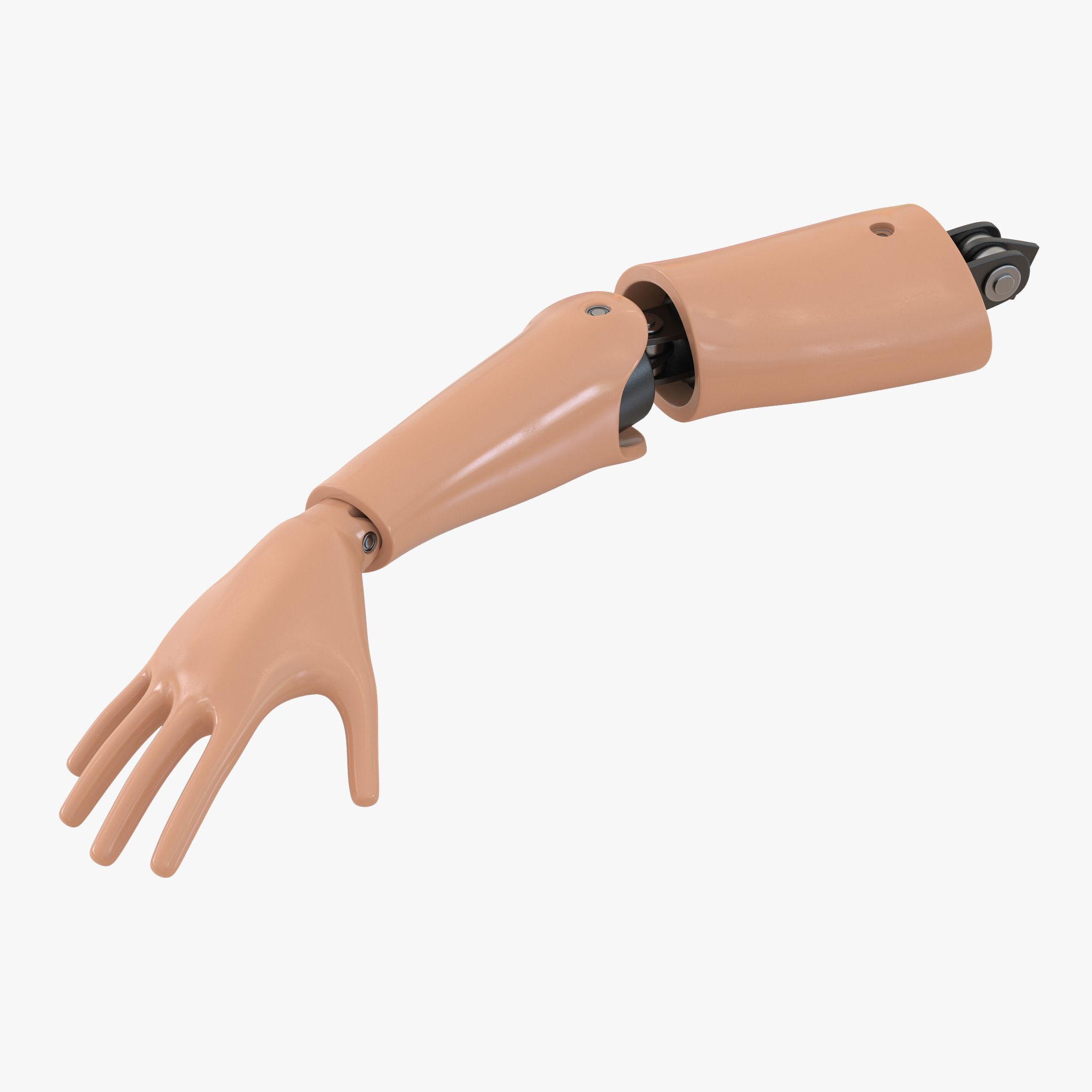 Crash Test Dummy Hand 3d model