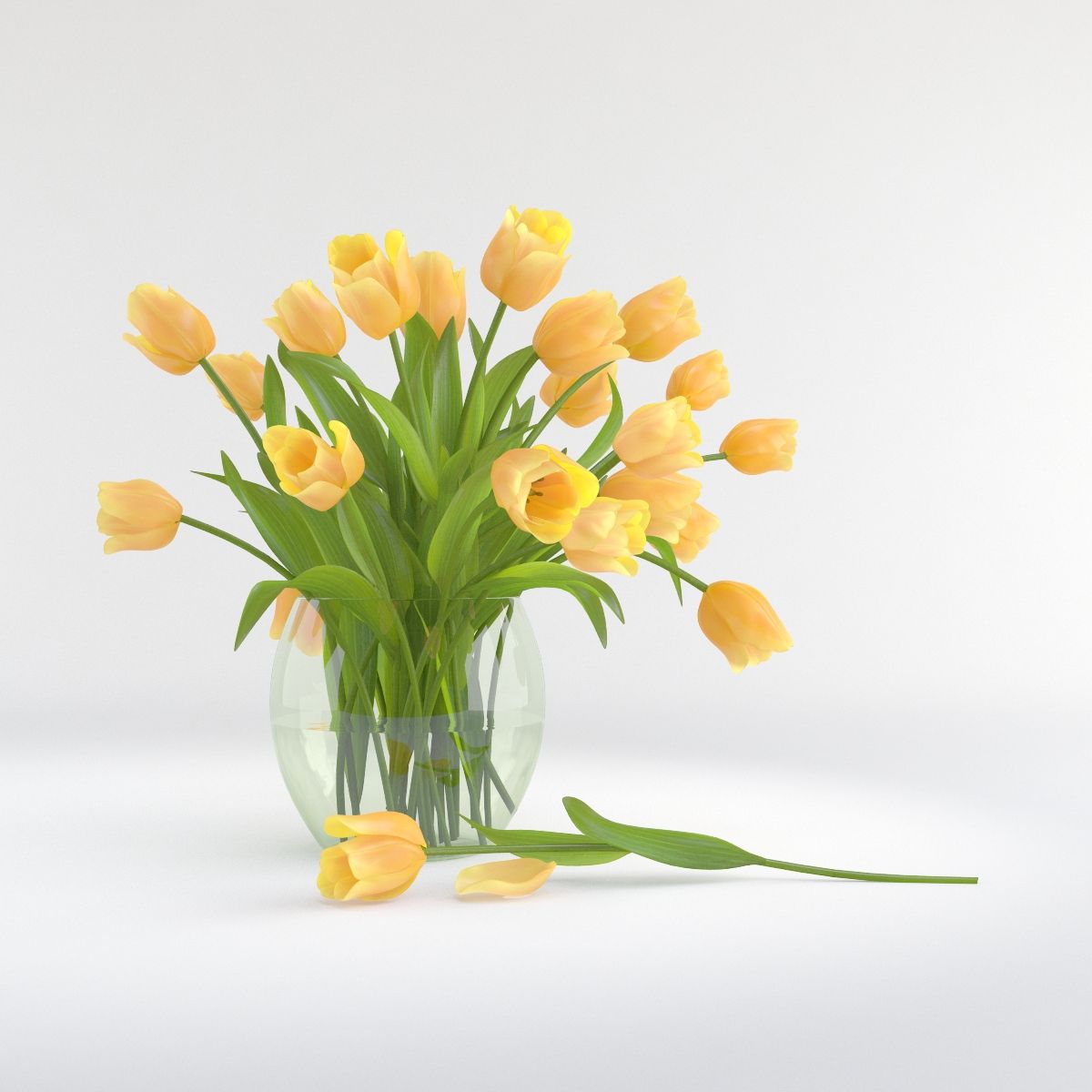 Tulip flower vase 3d model