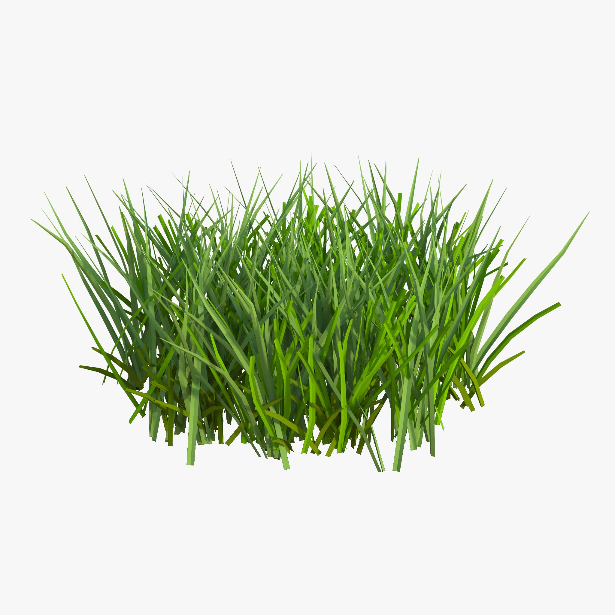 Herbe 2 3d model