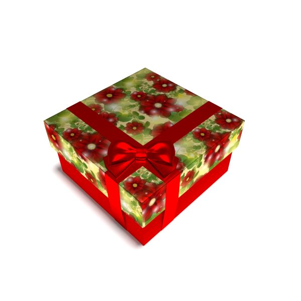 Gift Box 3d model