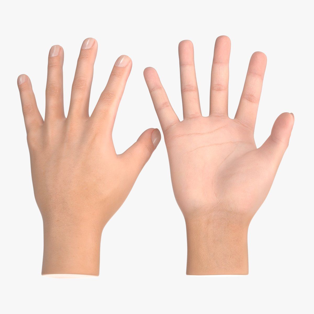 Realistisk hand 3d model