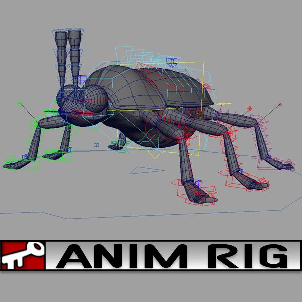 Beetle 3d model