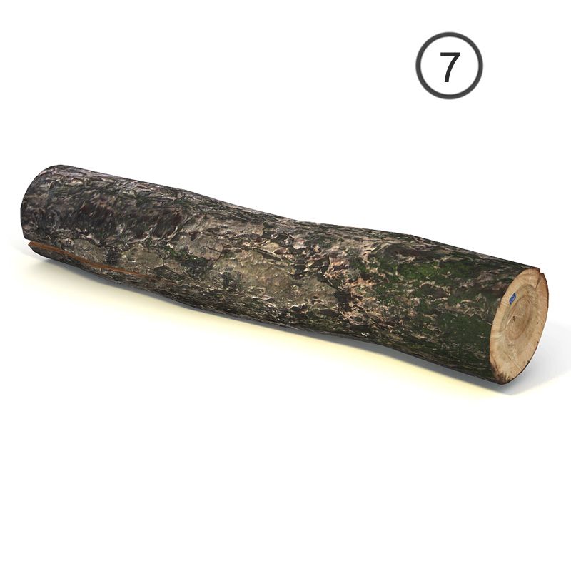 set of wooden logs royalty-free 3d model - Preview no. 17