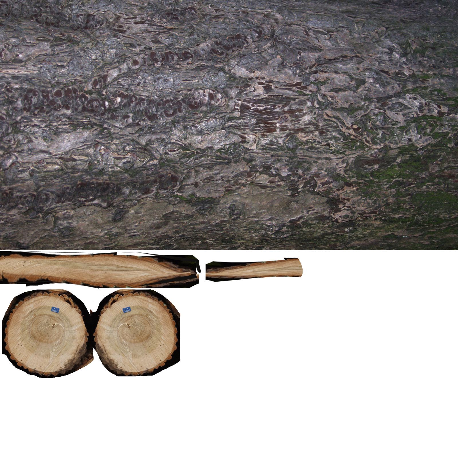 set of wooden logs royalty-free 3d model - Preview no. 31