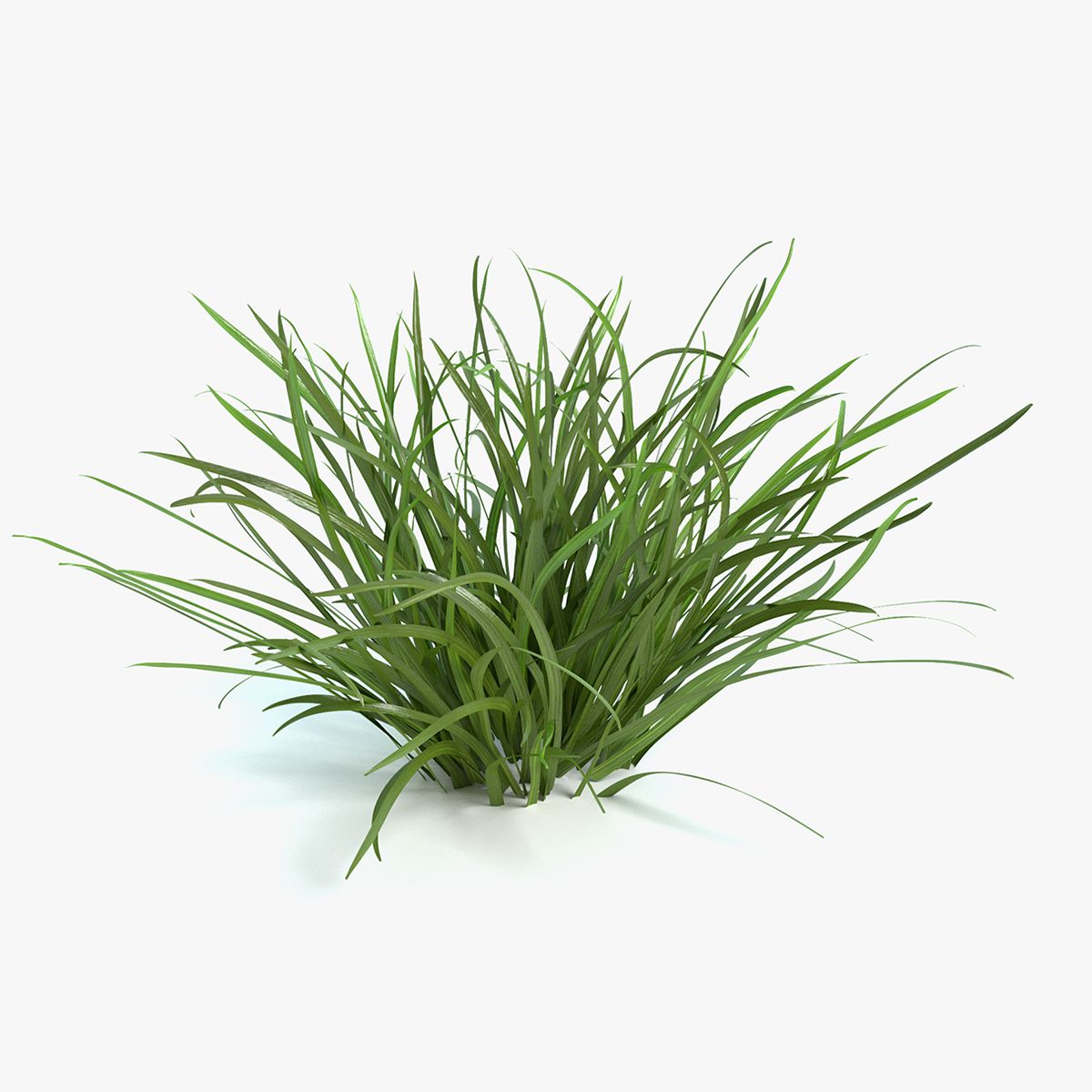 Flag Grass 3d model