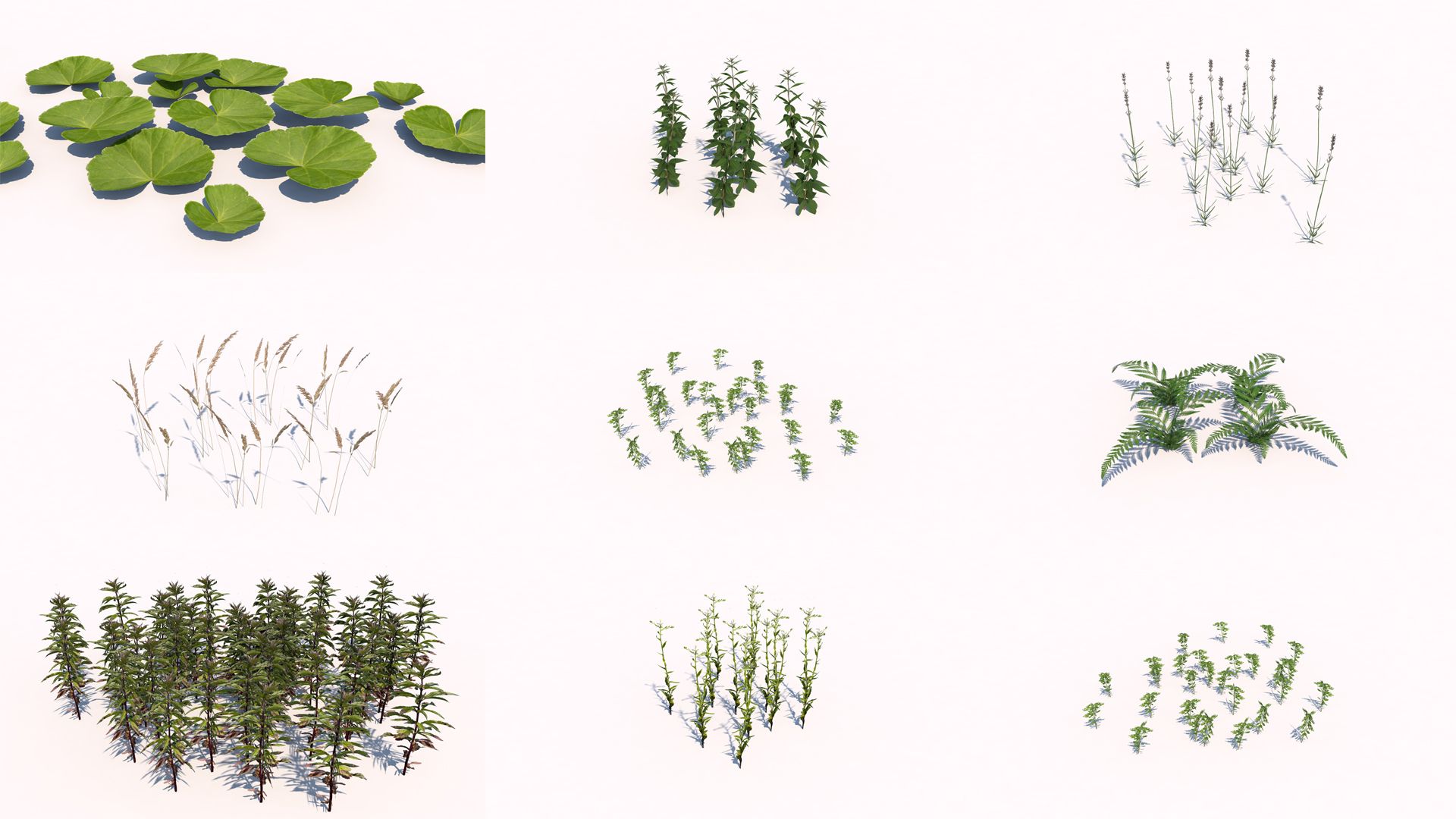 Plants - LowPoly 3d model