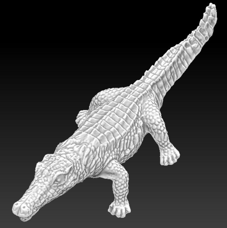 Aligator Timsahı 3d model