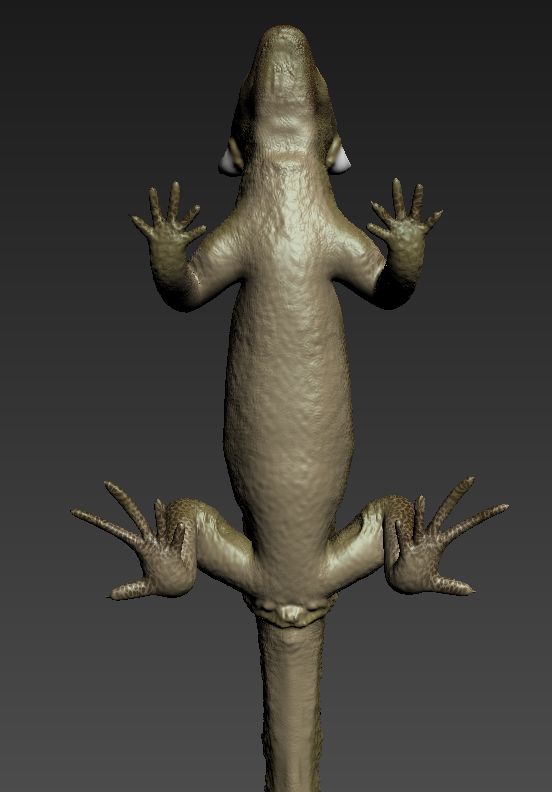 Lagarto cornudo royalty-free modelo 3d - Preview no. 3