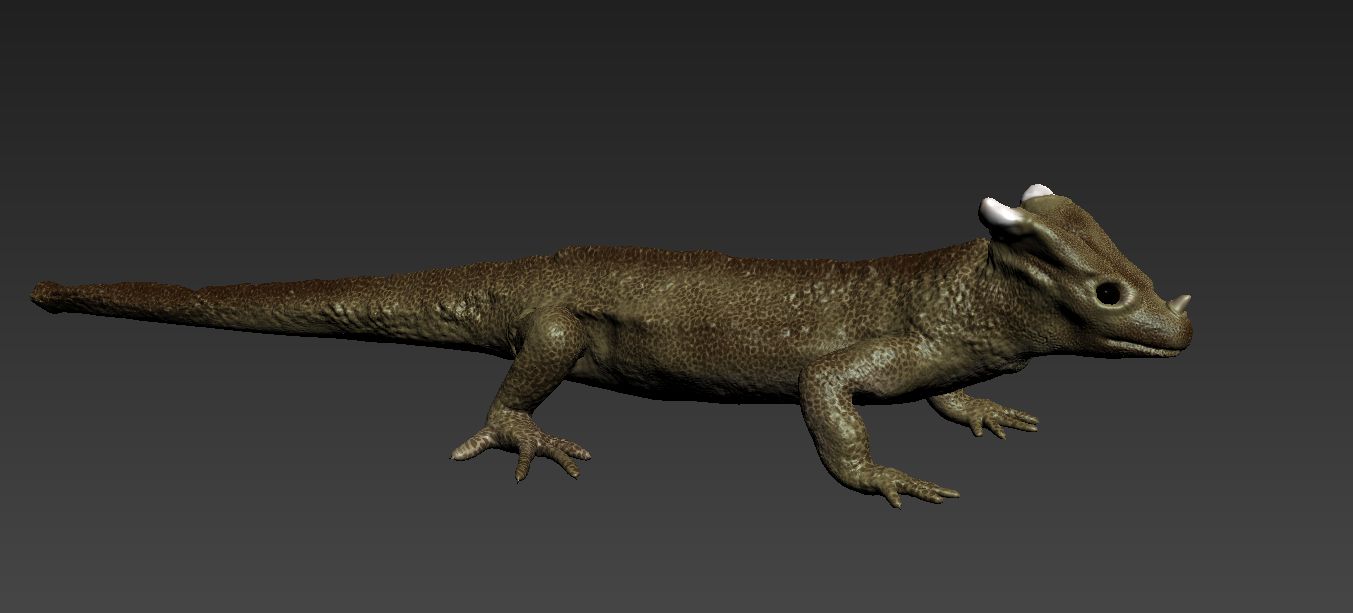 Lagarto cornudo royalty-free modelo 3d - Preview no. 7