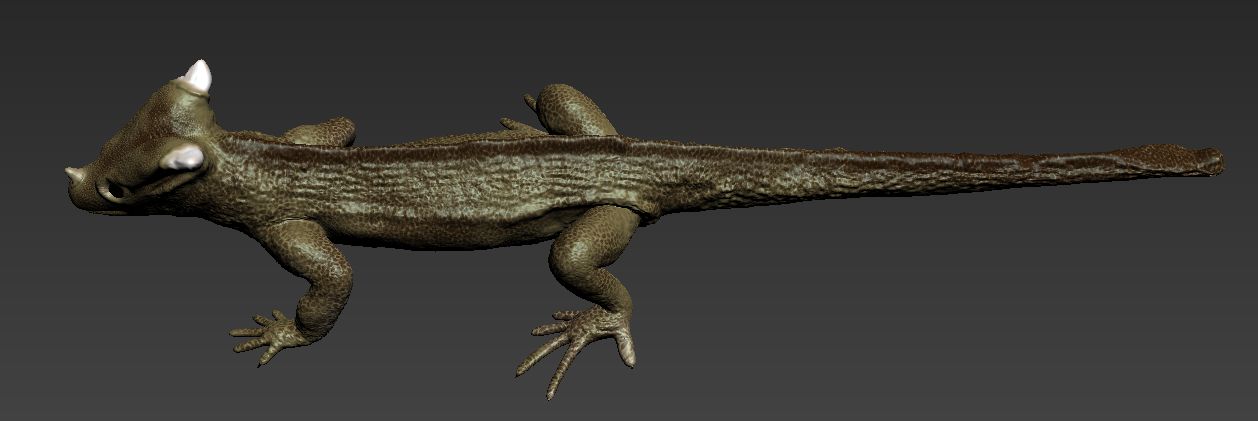 Lagarto cornudo royalty-free modelo 3d - Preview no. 4