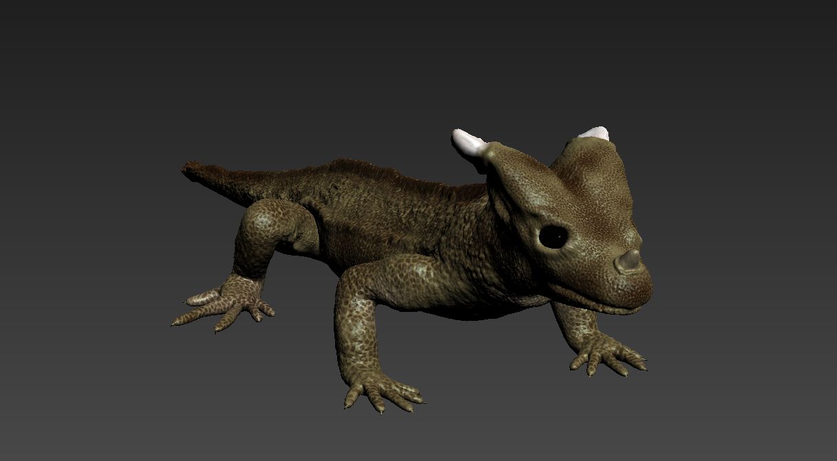 Lagarto cornudo royalty-free modelo 3d - Preview no. 2