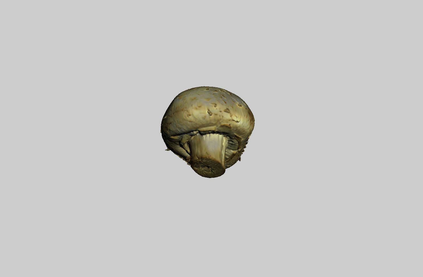 Champignon Champignon 3d model