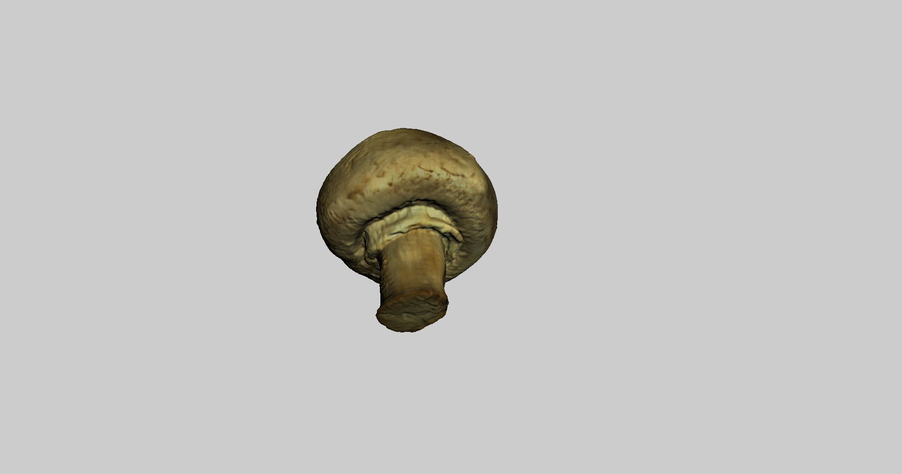 Champignon Champignon 3d model