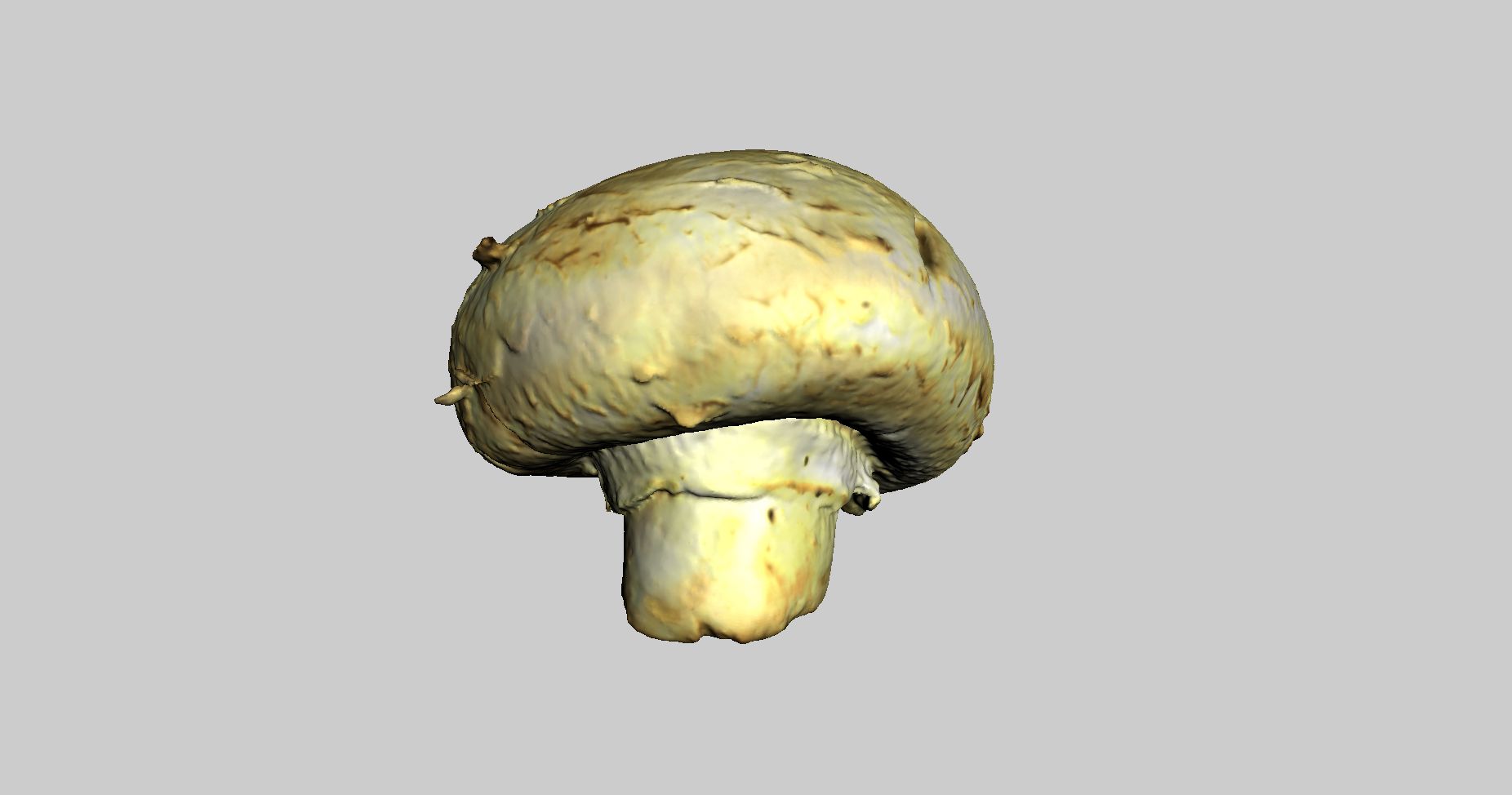 Champignon Champignon 3d model