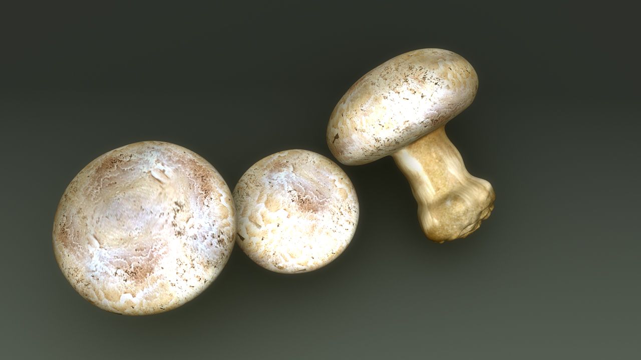 Agaricus Bisporus 3d model