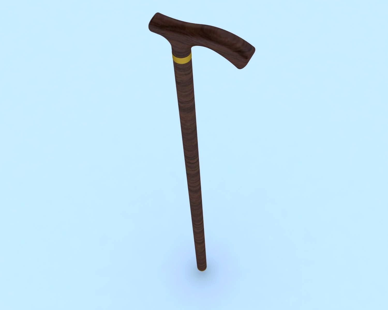 Cane-1 3d model